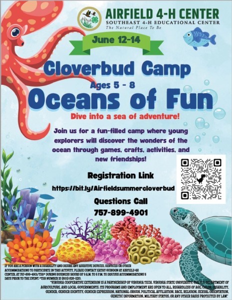 Summer Clover Bud Camp